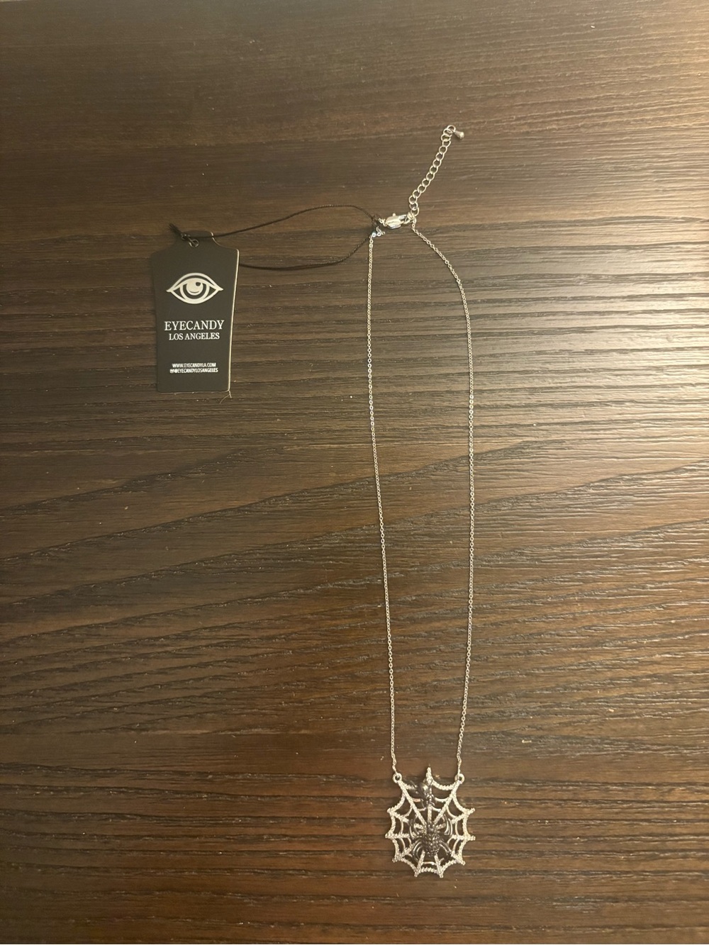 NEW Eye Candy Silver Spider Web Necklace